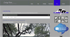 Desktop Screenshot of carolynbatesphoto.com