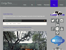 Tablet Screenshot of carolynbatesphoto.com